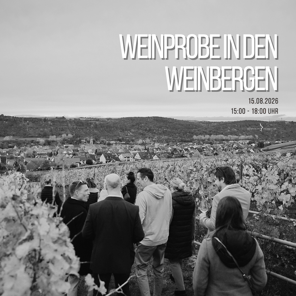 Weinprobe in den Weinbergen Eibelstadt