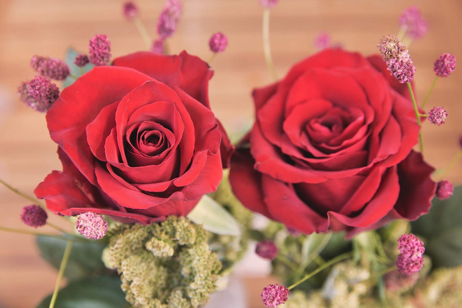 Zwei rote Rosen auf dunklem Untergrund – Symbol für Liebe und Wertschätzung zum Muttertag